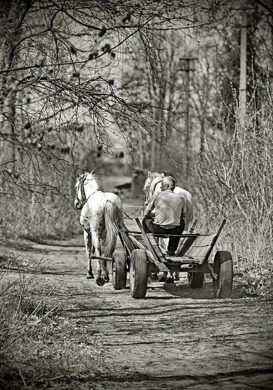 мужечЕк по своим делам...photo preview