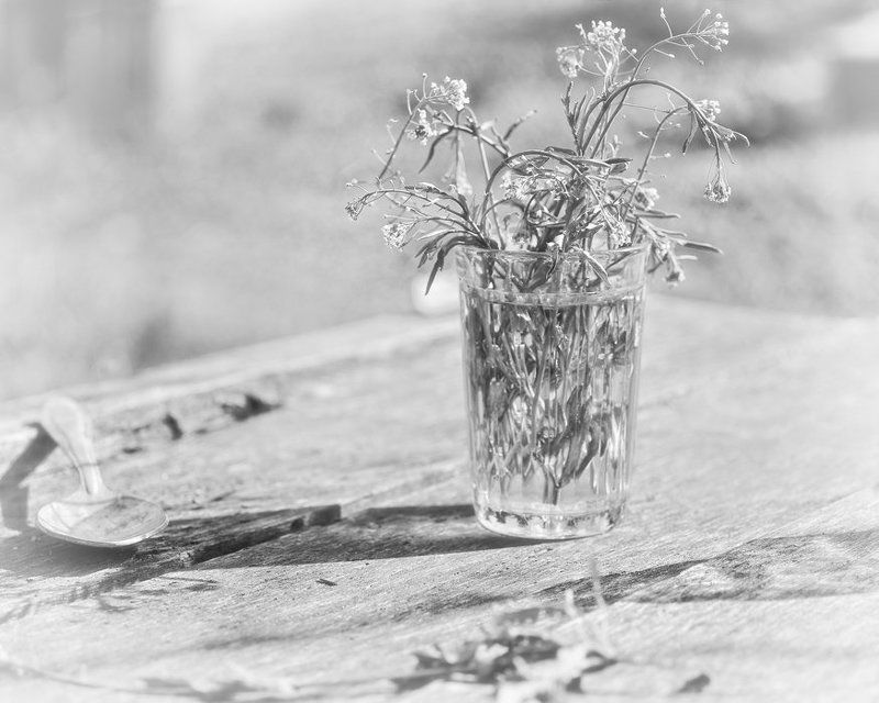 май, пастушья сумка, ложка, стакан, тени Открытие сезонаphoto preview