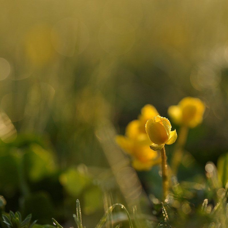 Квадрат... с акцентом...photo preview