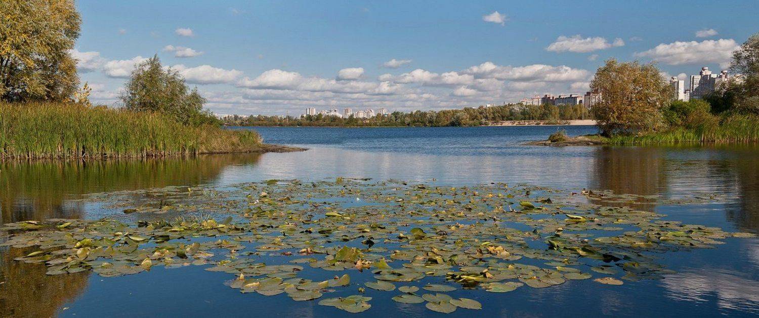 ***. Автор: Elena киев, десенка, река, облака, город, кувшинки, Elena