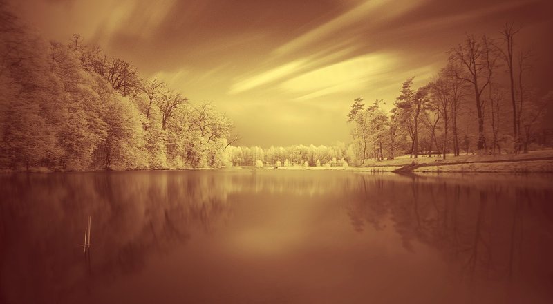 when angels fly awayphoto preview