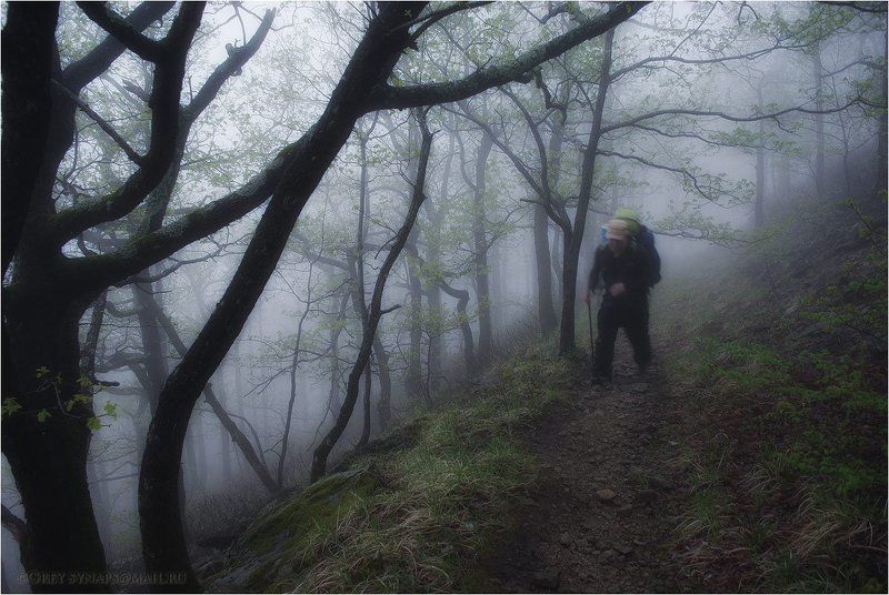 Идущий в туманеphoto preview