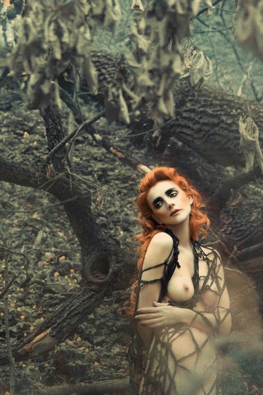 ню lookphoto preview