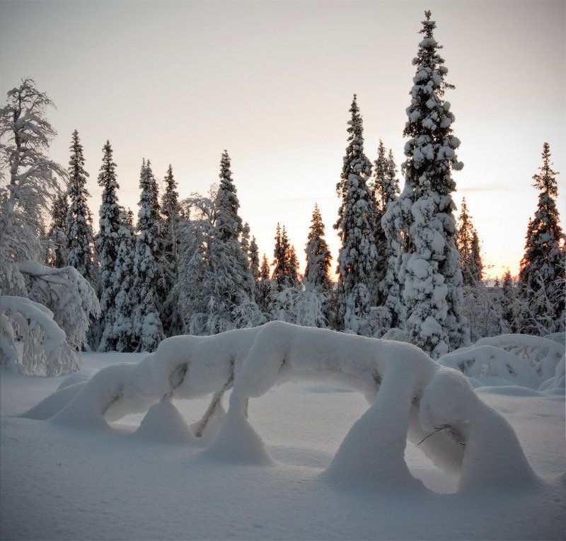 зима, кольский, полуостров Зимние воспоминания фото превью
