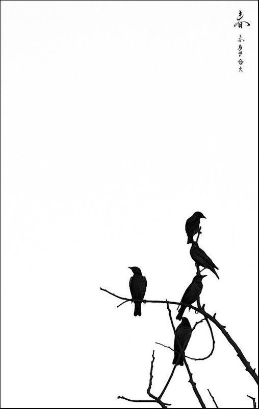 птица,птицы,силуэт,силуэты,владимир,шипулин,символы,иероглифы Даоphoto preview