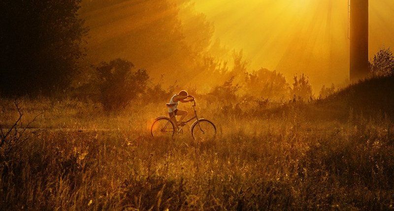 домойphoto preview