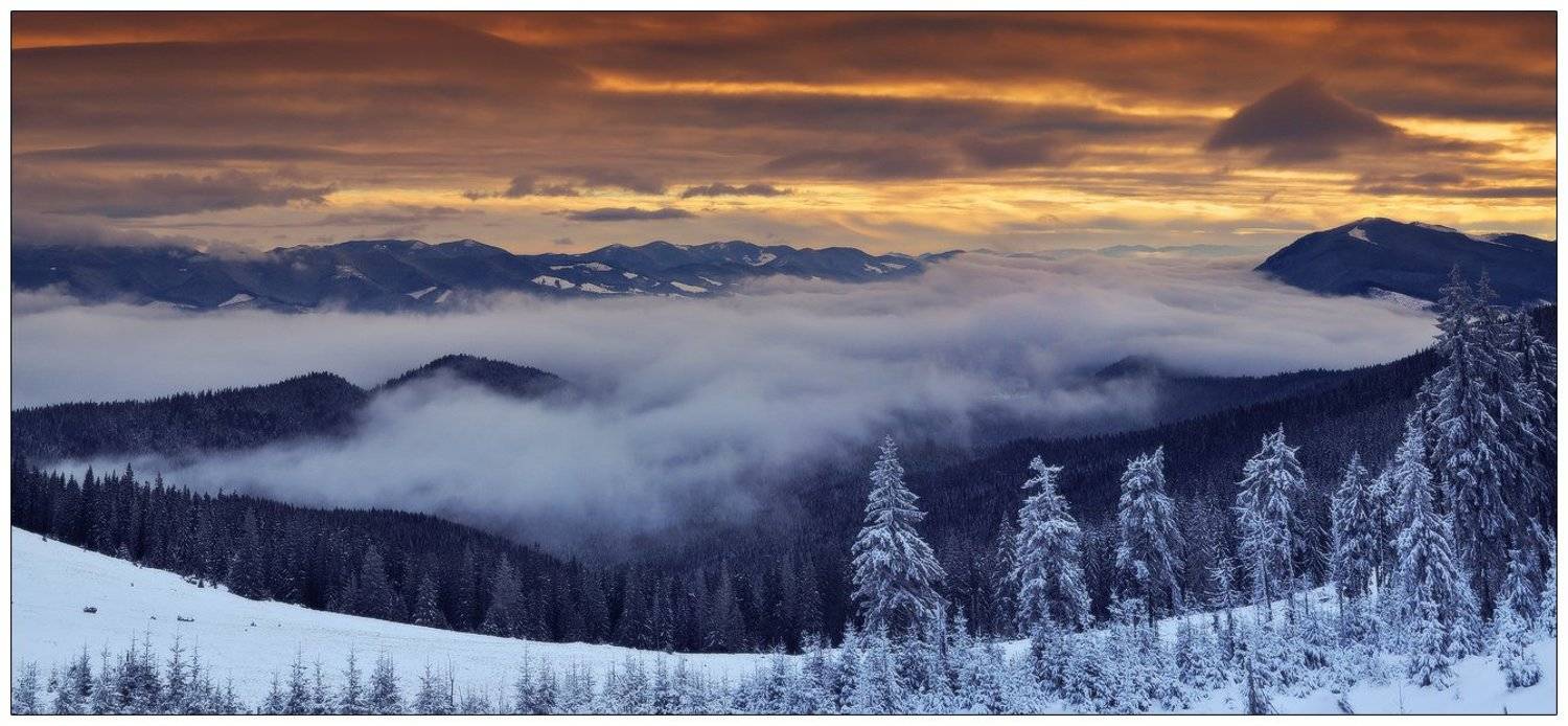 , Денис Кривой