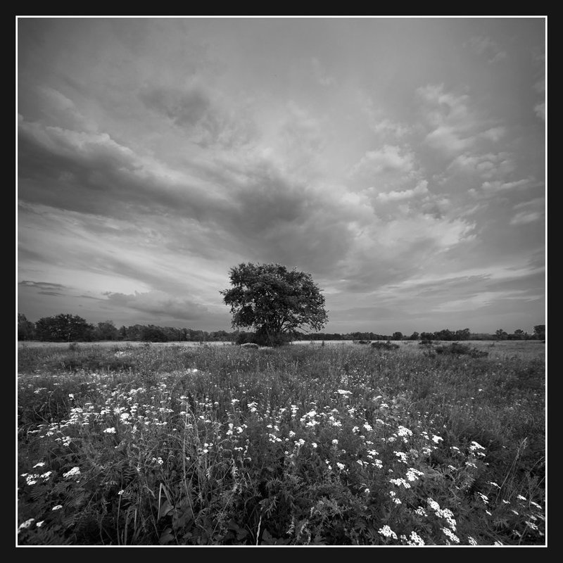 Где-то у устья Десны...photo preview