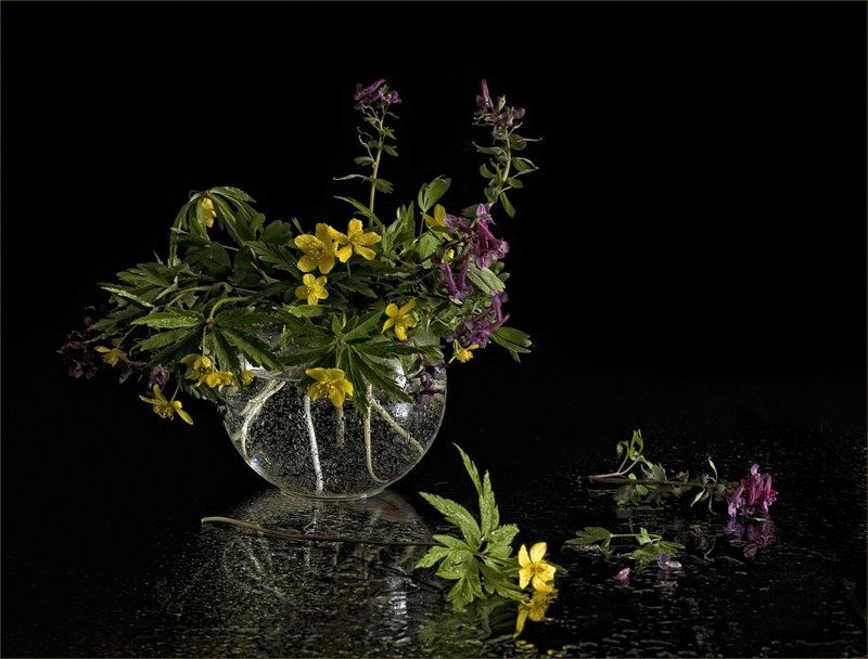 эфемероиды, хохлатки, ветреницы, ваза, вода Эфемероидыphoto preview