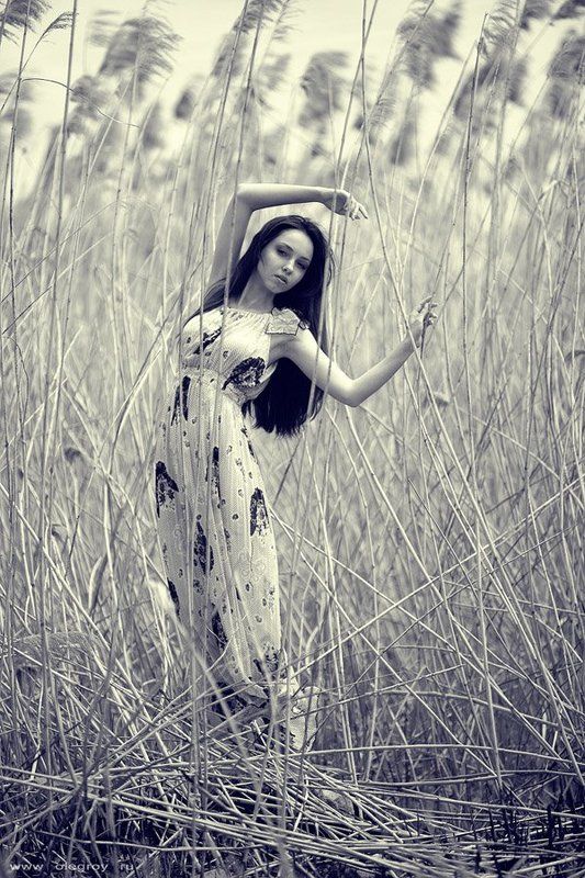 Gravityphoto preview