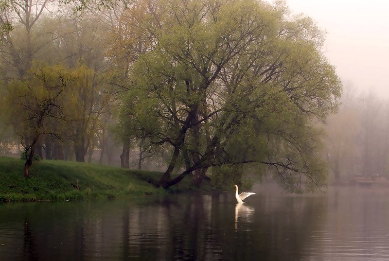 Утренние упражненияphoto preview