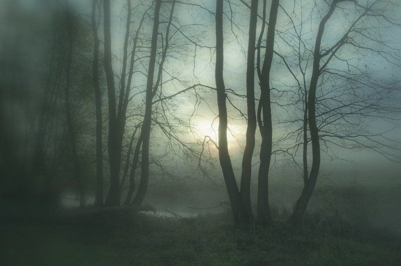 Туманная... фото превью