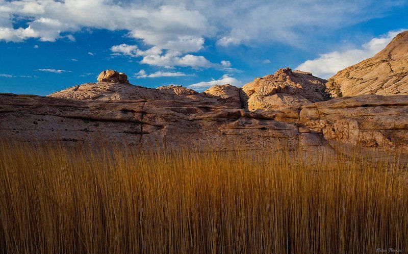 Фотосафари по Бектау-Ата (ч.1)photo preview