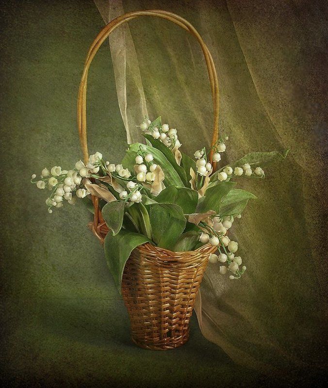 foto liubos, натюрморт,ландыши Корзинка с ландышами фото превью