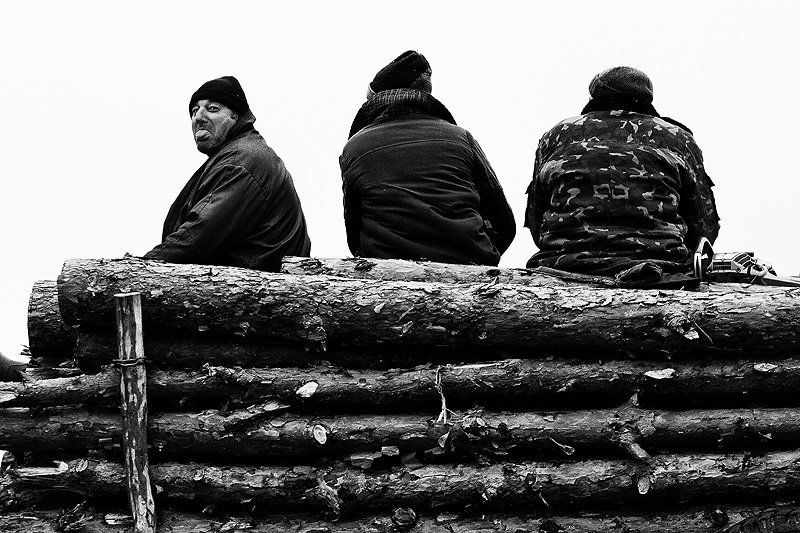 Лесорубыphoto preview