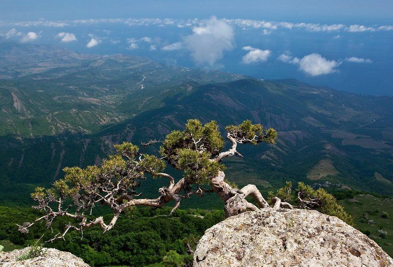 Всем ветрам назло.photo preview