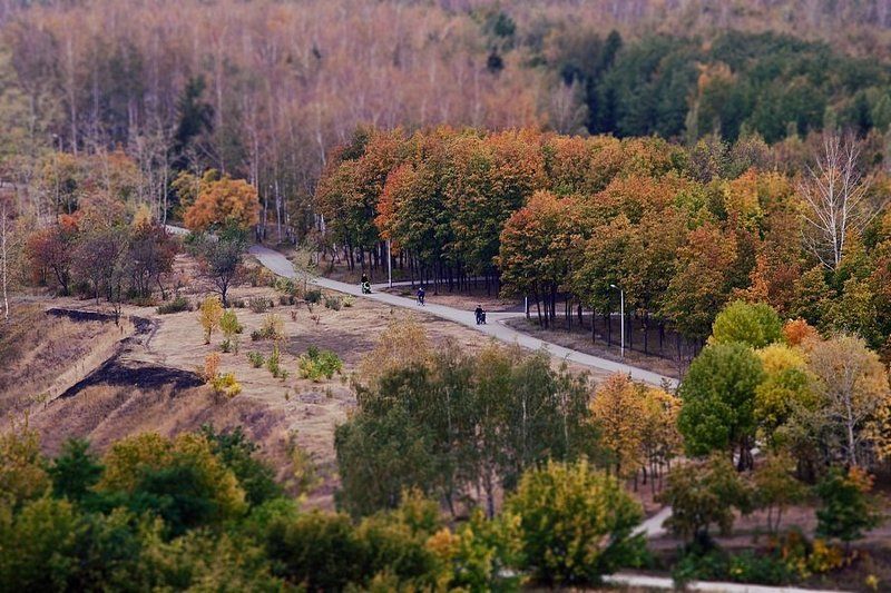 Все тот же парк (осень)photo preview