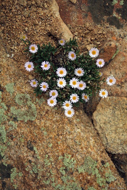 Фотосафари по Бектау-Ата (ч.2)photo preview