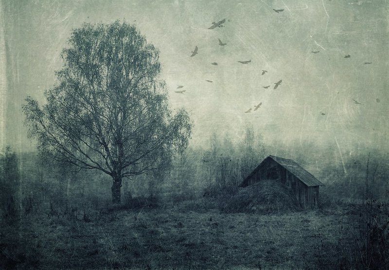 .........photo preview