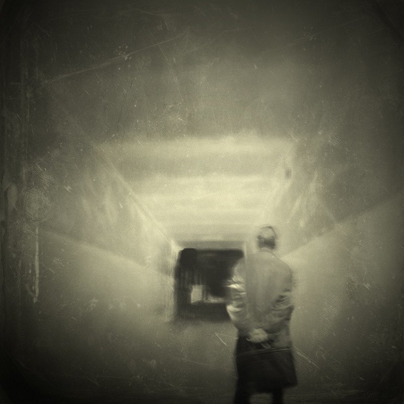 now or neverphoto preview