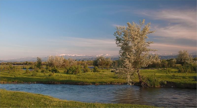 природа В предгорьях ....photo preview