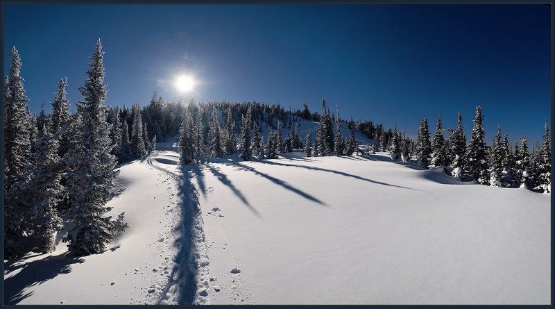 шерегеш, шория, зеленая, зима, елки Ёлки-Палки с Шерегешаphoto preview