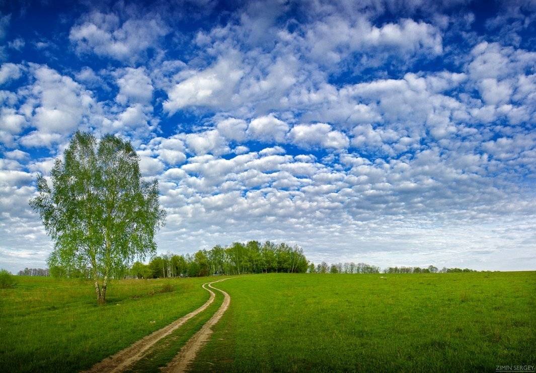 , Сергей Зимин