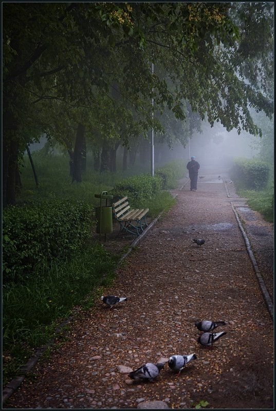 Утро в парке ...photo preview