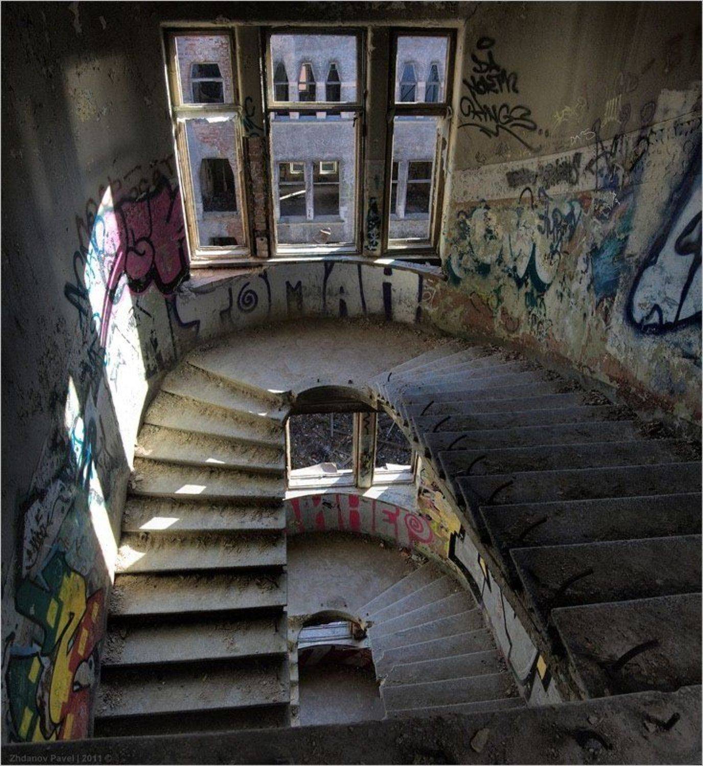 выборг_дом, говинга, Павел Жданов