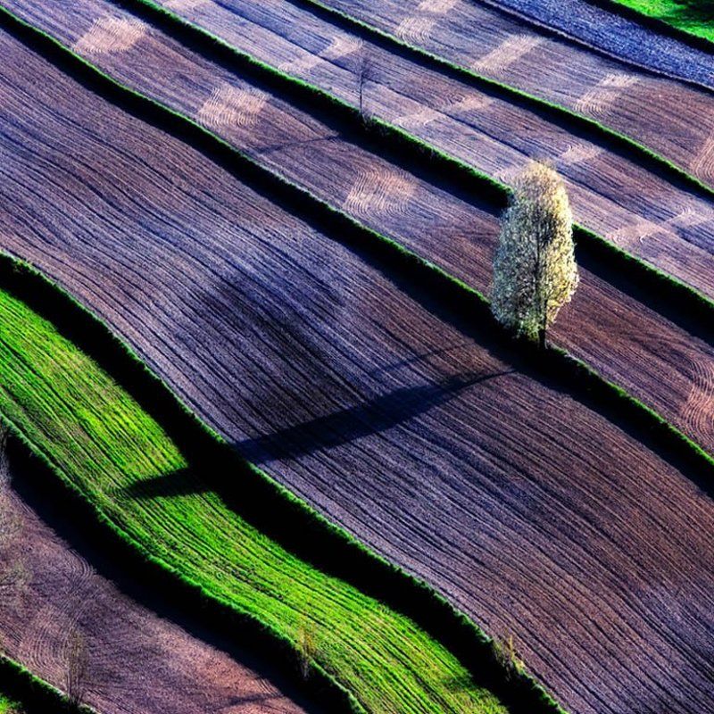 Landscapes ***photo preview