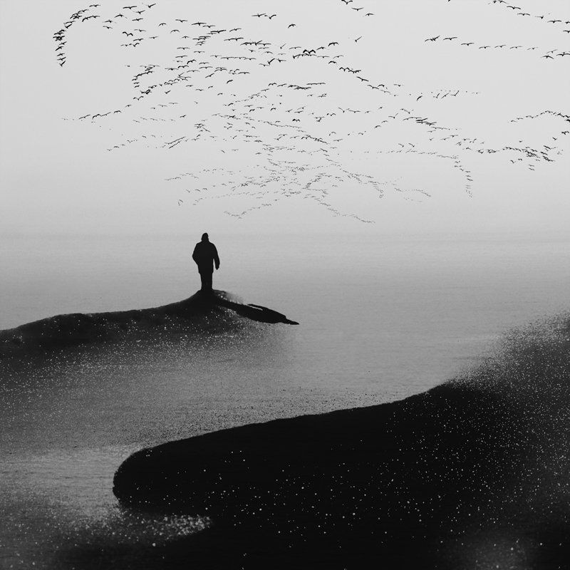 Welcomingphoto preview