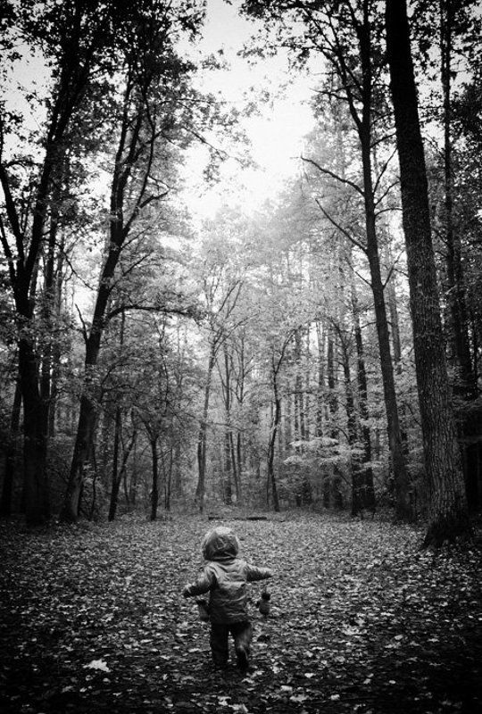 Когда деревья были большими...photo preview