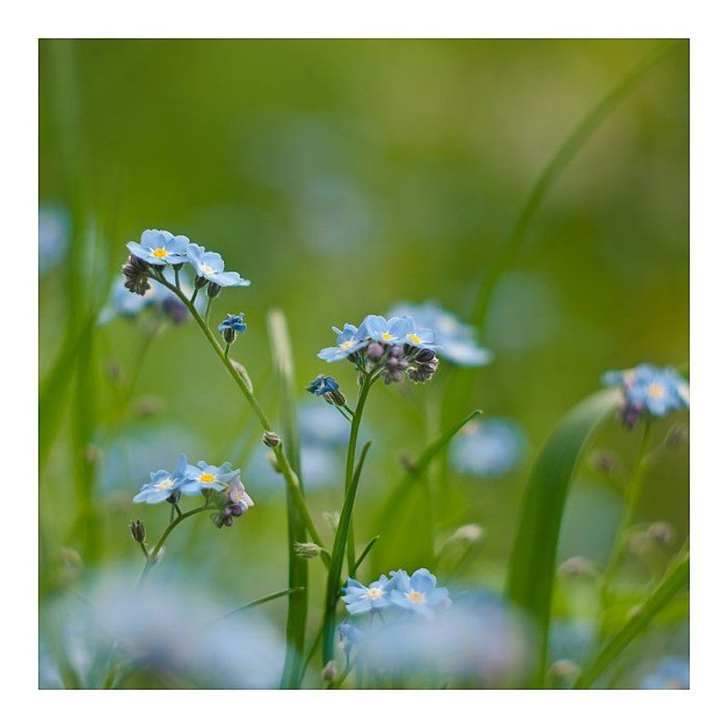 ... фото превью