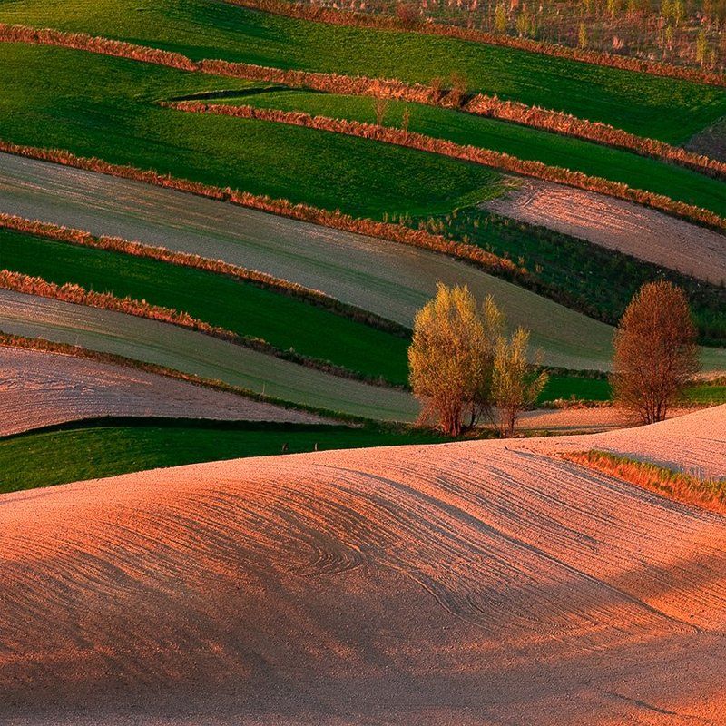 Landscapes_11photo preview