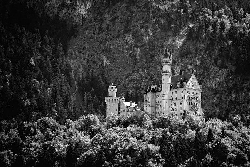 германия, нойшванштайн белый лебедьphoto preview