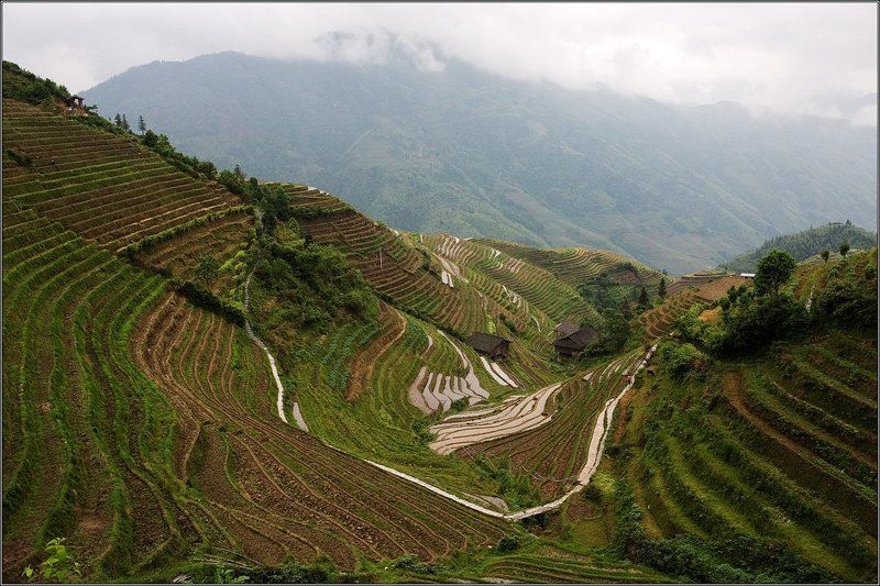 пинь ан,  рисовые терассы *photo preview