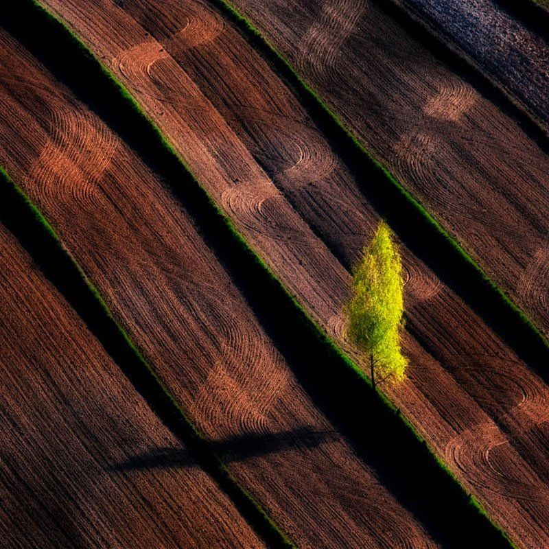 Landscapes_12photo preview