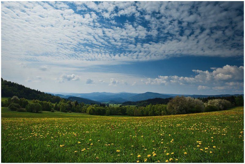 природа, пейзаж, лес, поле, небо under a painted skyphoto preview