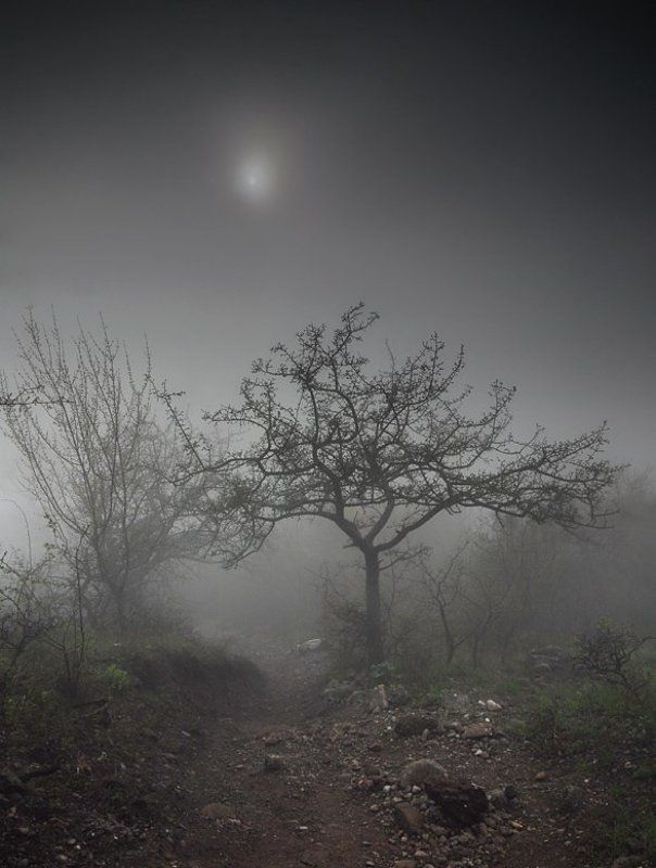 gothic moodphoto preview