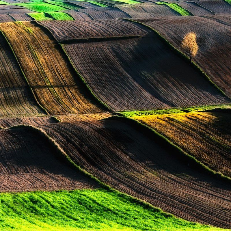 Landscapes_13photo preview