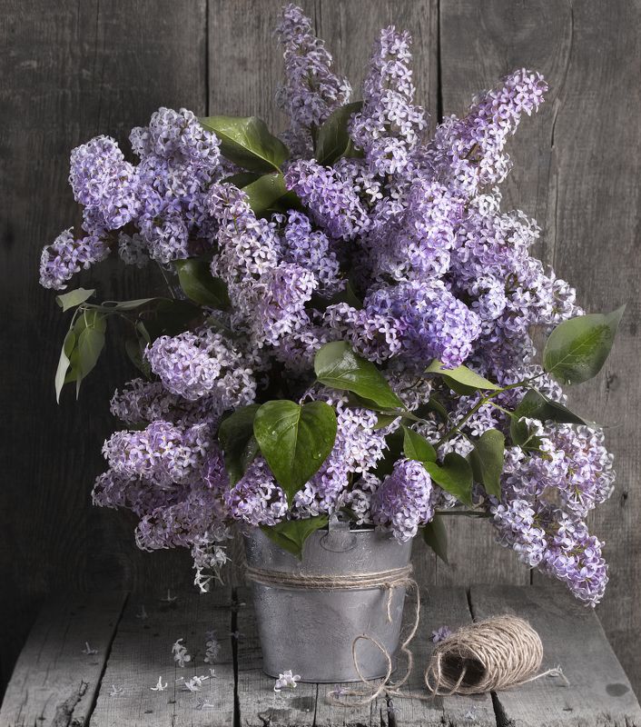 Аромат мая...photo preview