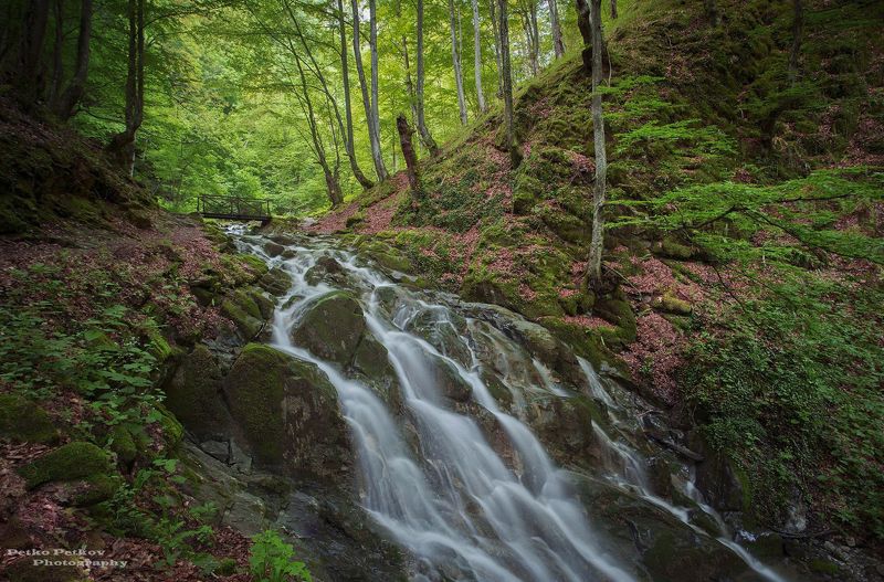 Тетевенphoto preview