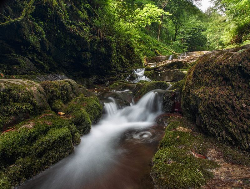 река, ручей, природа, лес, горы, горная река, путешествия, выходные, приключения, поход, вода, камни Поток фото превью