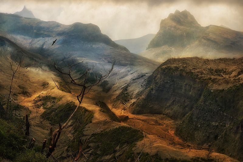 индонезия, ява, лава, кратер, вулкан, разруха, катлаван Жизнь после изверженияphoto preview