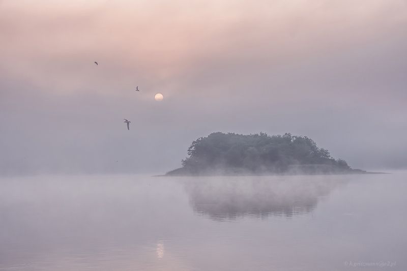 colors of the morningphoto preview