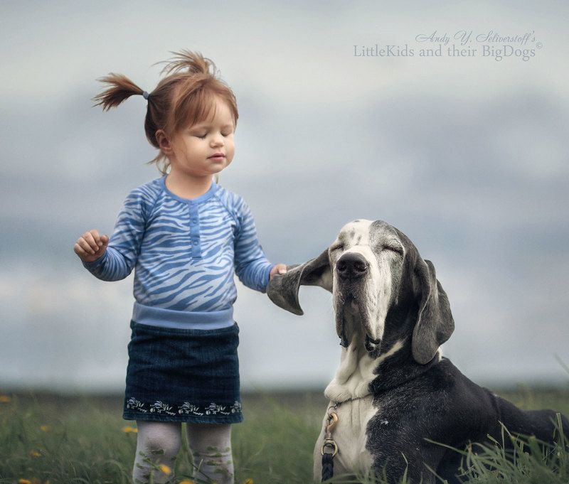 ИСИН-ДЭНСИН (от сердца к сердцу)photo preview