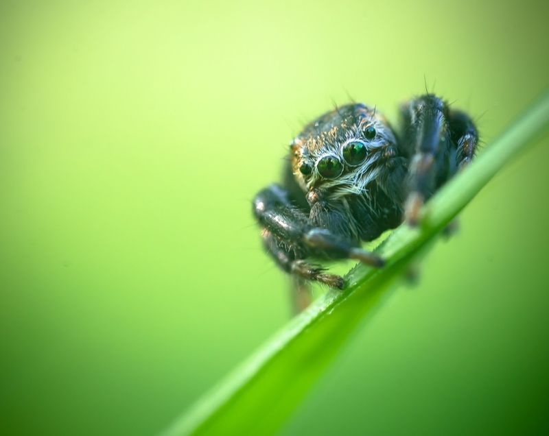 Эти глаза напротив...photo preview