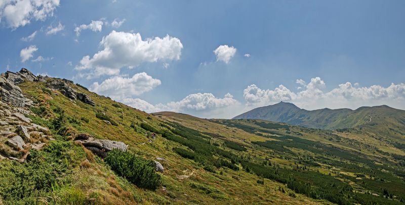 карпаты, черногорский хребет, г. поп иван, старая обсерватория, тропа Тропа к обсерваторииphoto preview