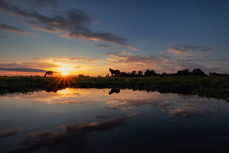 Вечерняя идиллияphoto preview