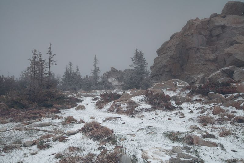 *** фото превью